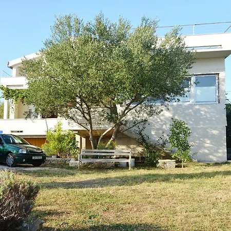 Charming In Vrsi Mulo, Great Place In Dalmatia For Family Vacation 아파트 닌